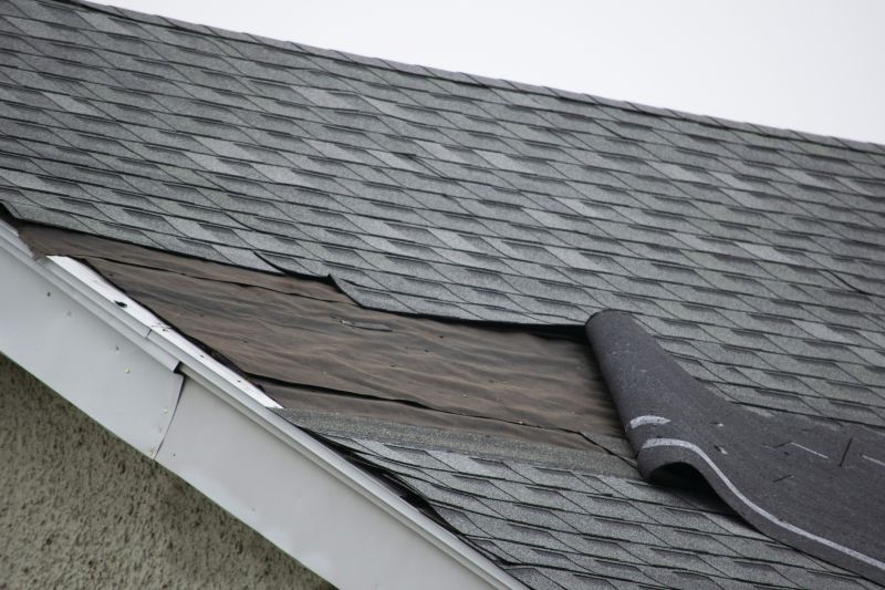 Damaged Shingle Replacement
